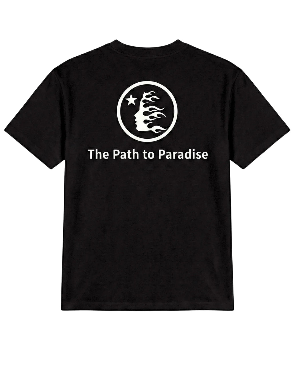 CAMISETA PREMIUM HE11 STAR PARADISE