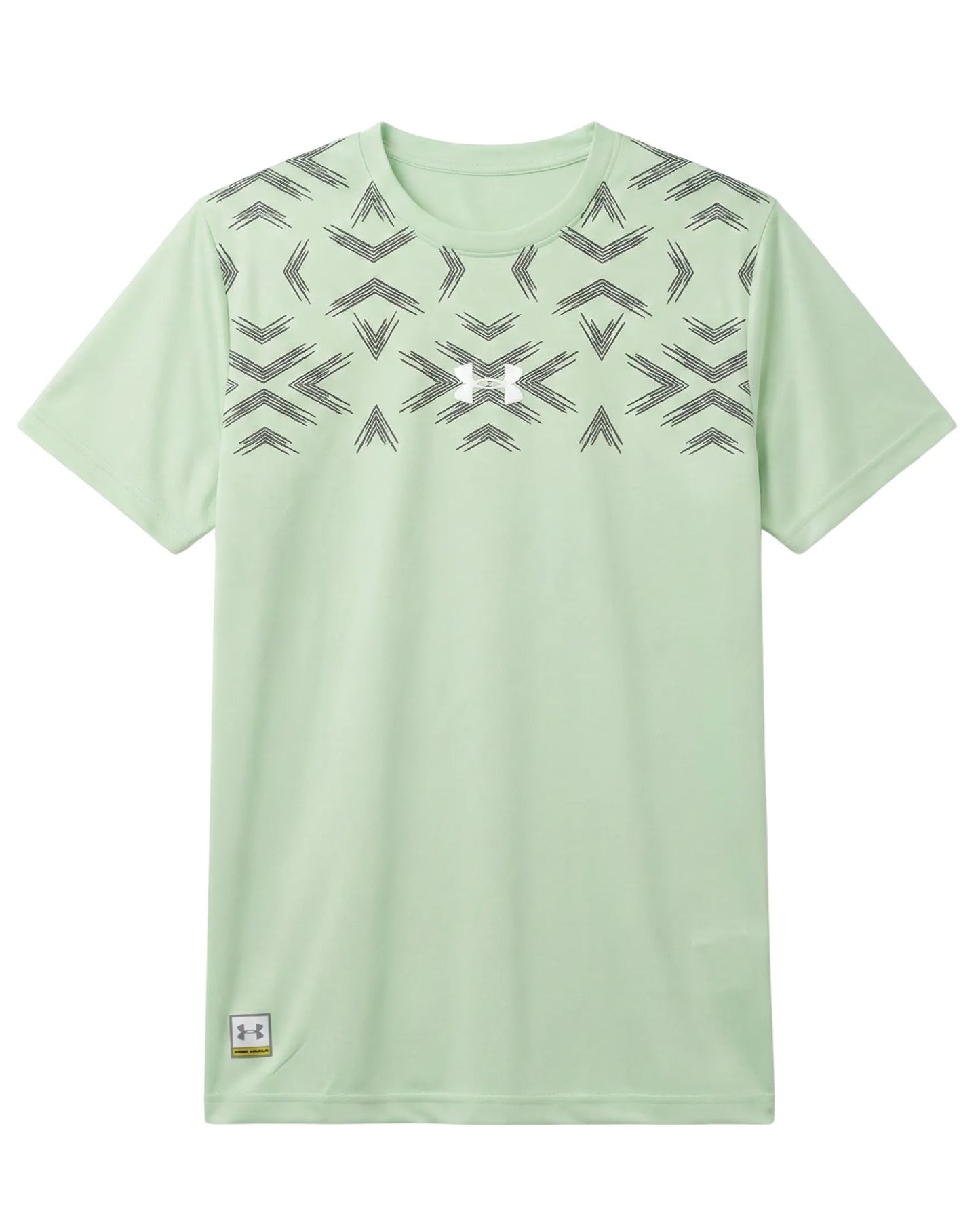 Camiseta Dri Fit Under A Flechas